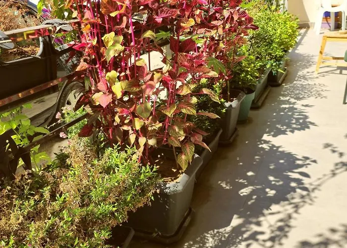 Elegant & Cozy Retreat Home, Center Gem, At The Seaside, Steps From The Tram Apartamento