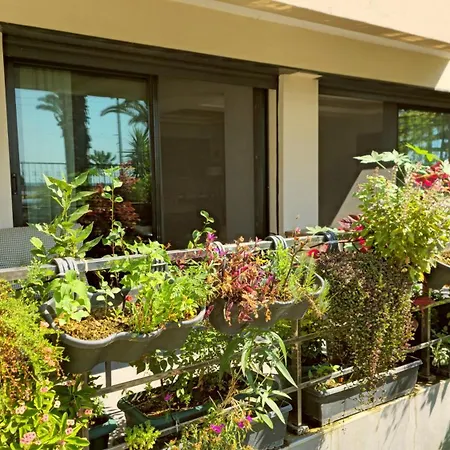 Elegant & Cozy Retreat Home, Center Gem, At The Seaside, Steps From The Tram