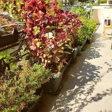 Elegant & Cozy Retreat Home, Center Gem, At The Seaside, Steps From The Tram Apartment