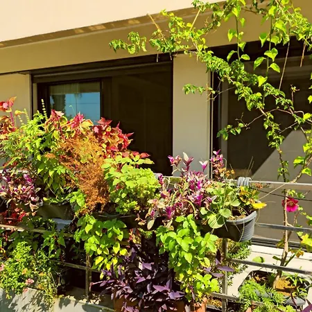 Apartment Elegant & Cozy Retreat Home, Center Gem, At The Seaside, Steps From The Tram