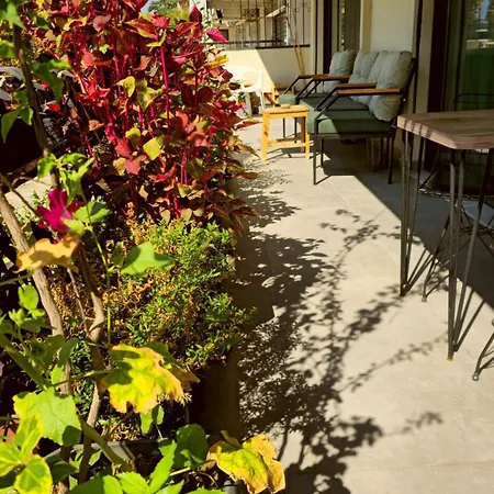 Elegant & Cozy Retreat Home, Center Gem, At The Seaside, Steps From The Tram Apartment