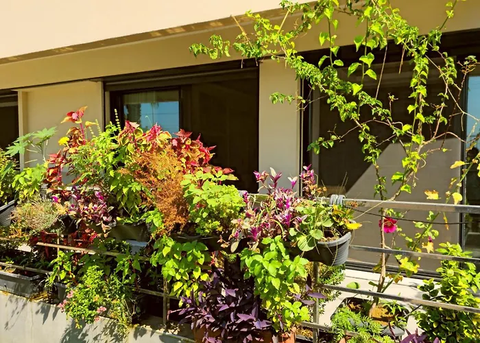 公寓 Elegant & Cozy Retreat Home, Center Gem, At The Seaside, Steps From The Tram